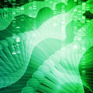 Genetic key to why immune responses differ between men and women