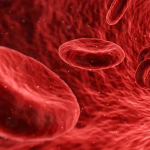 Infections could hold key to progression of common form of blood cancer – research shows