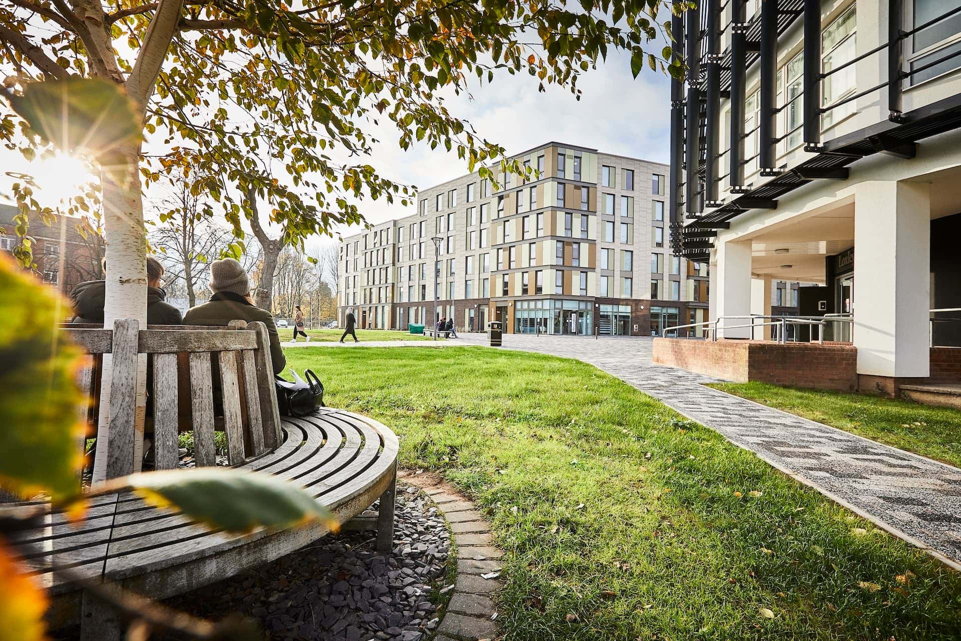 A low sun illuminates the greet grass outside of Westfield Court, accommodation in Hull