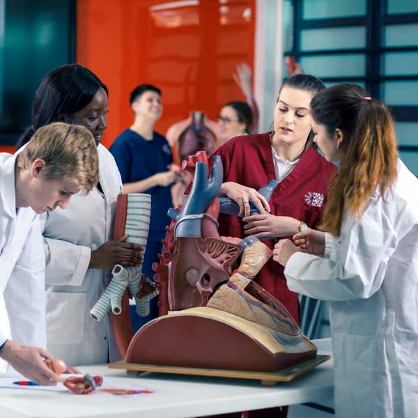 Students in anatomy at the University of York