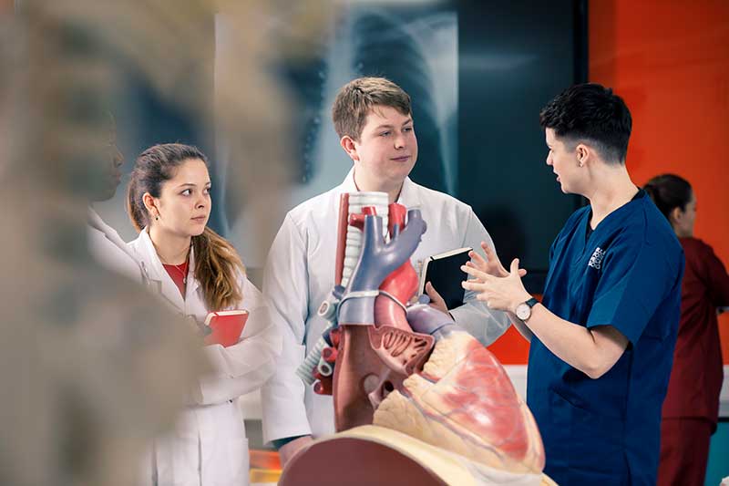 Medical students in an anatomy session with Dr Kat Sanders