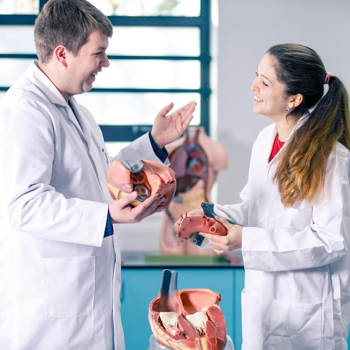 Medicine students in a laboratory examining anatomy models