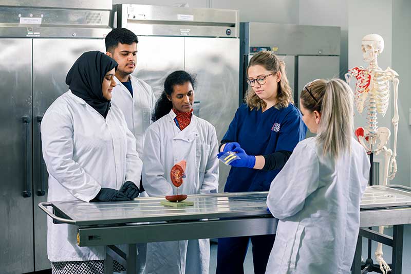 Students in the anatomy lab with Lauren Clunie inspecting prosections