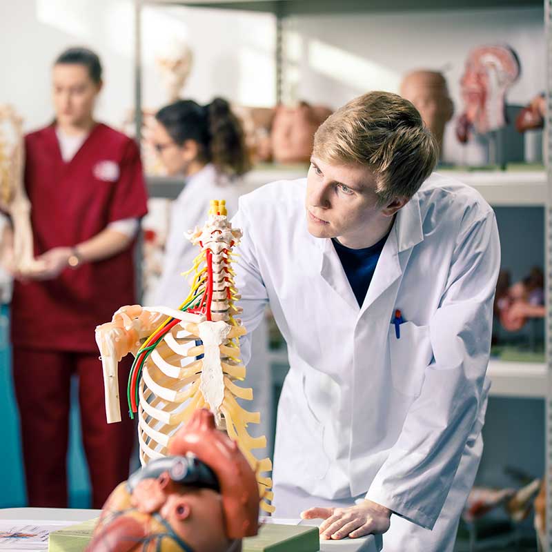 Medicine students in the anatomy lab
