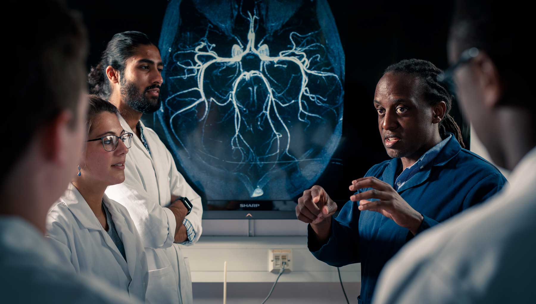 MSc in Clinical Anatomy