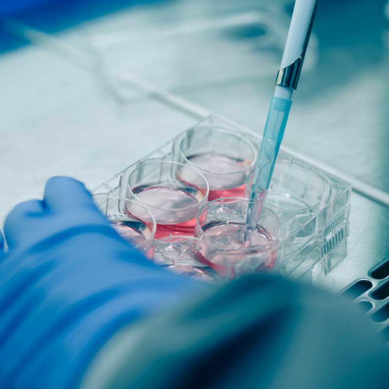 MSc in Pharmacology and Drug Development