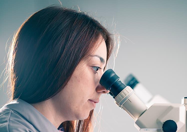 MSc in Pharmacology and Drug Development