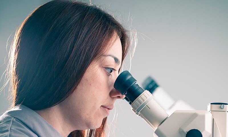 MSc in Pharmacology and Drug Development