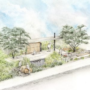 Hull York Medical School breathlessness research inspires RHS Chelsea Flower Show garden