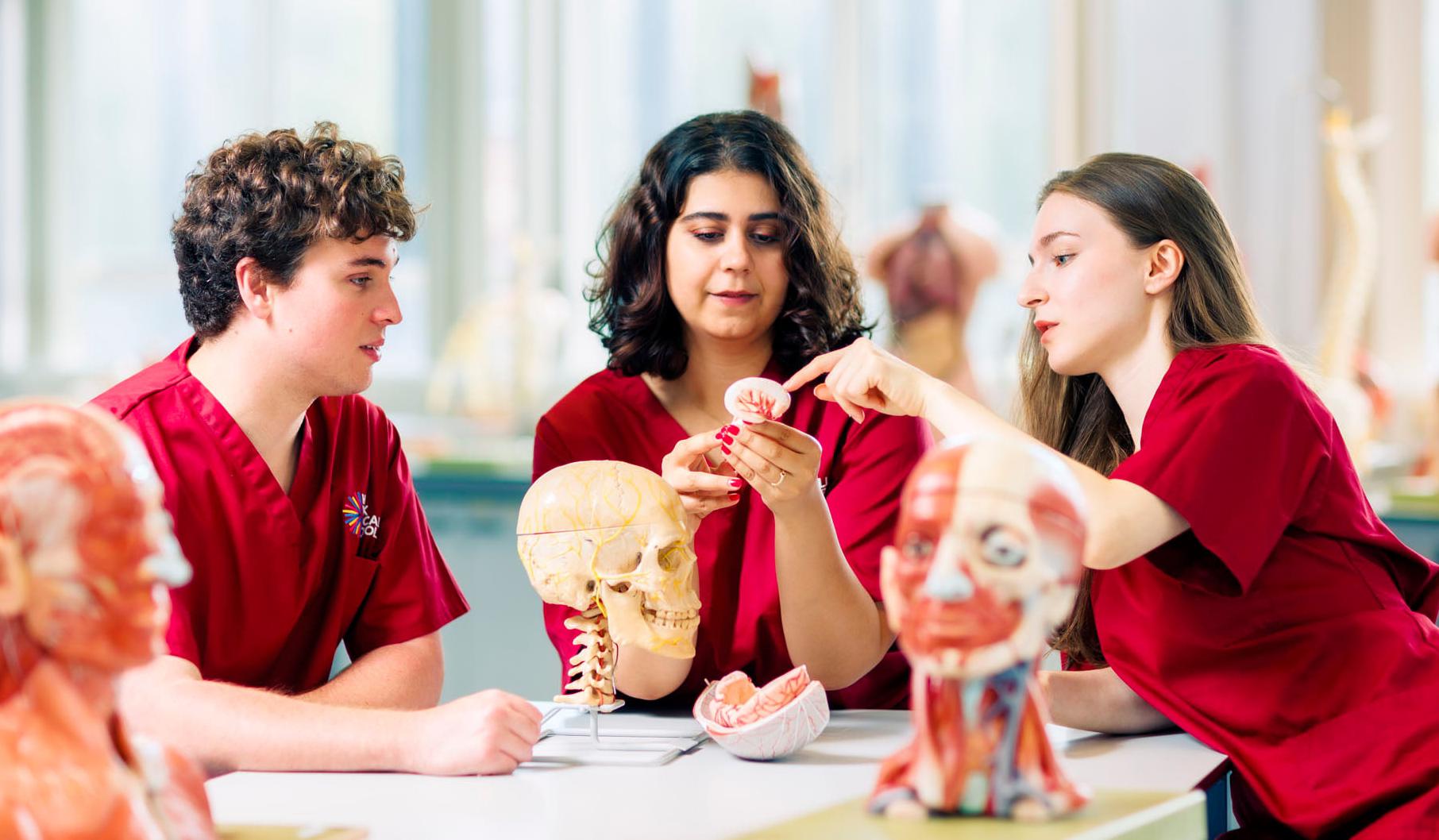 Clinical Anatomy students