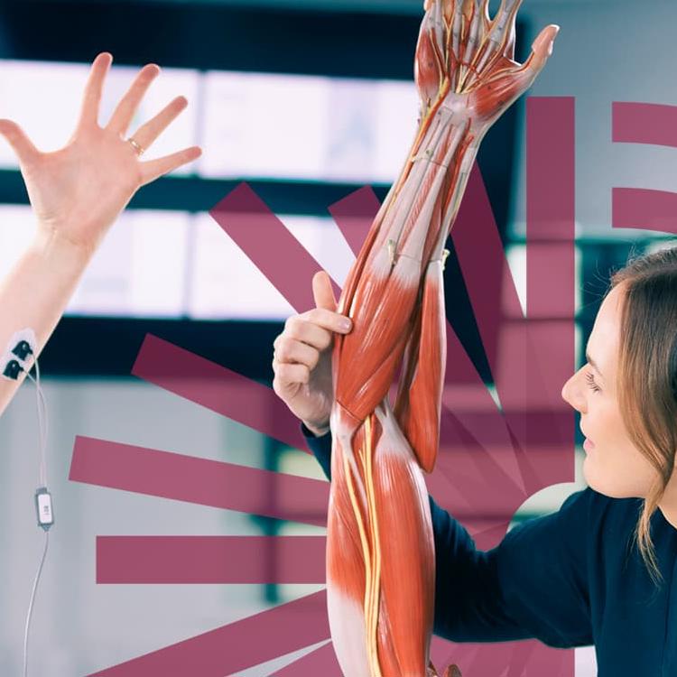 Heath Technology and Human Anatomy