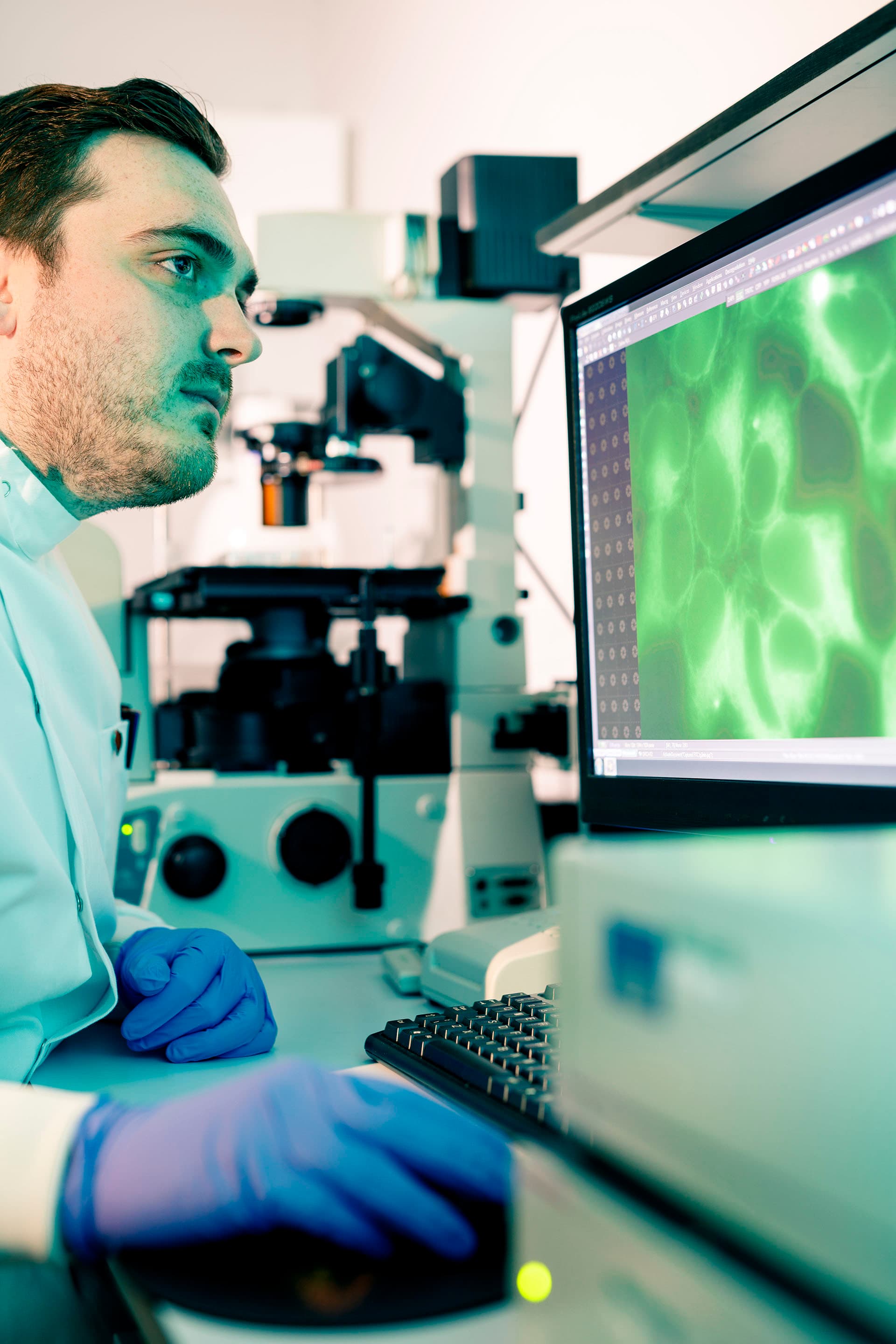 Student examining fluorescence microscopy image