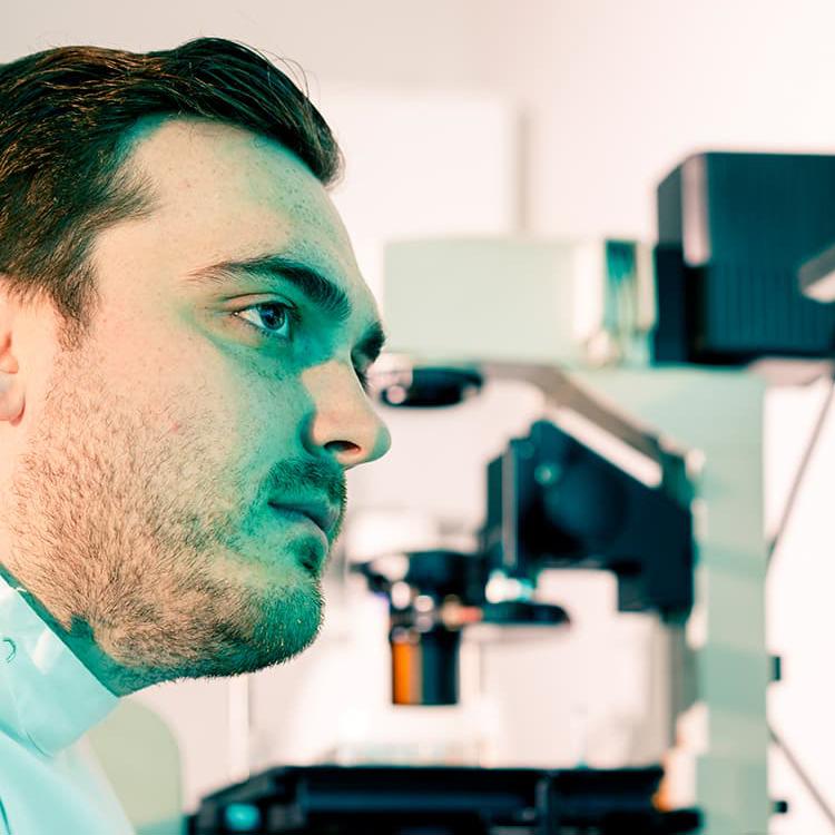 Student examining fluorescence microscopy image