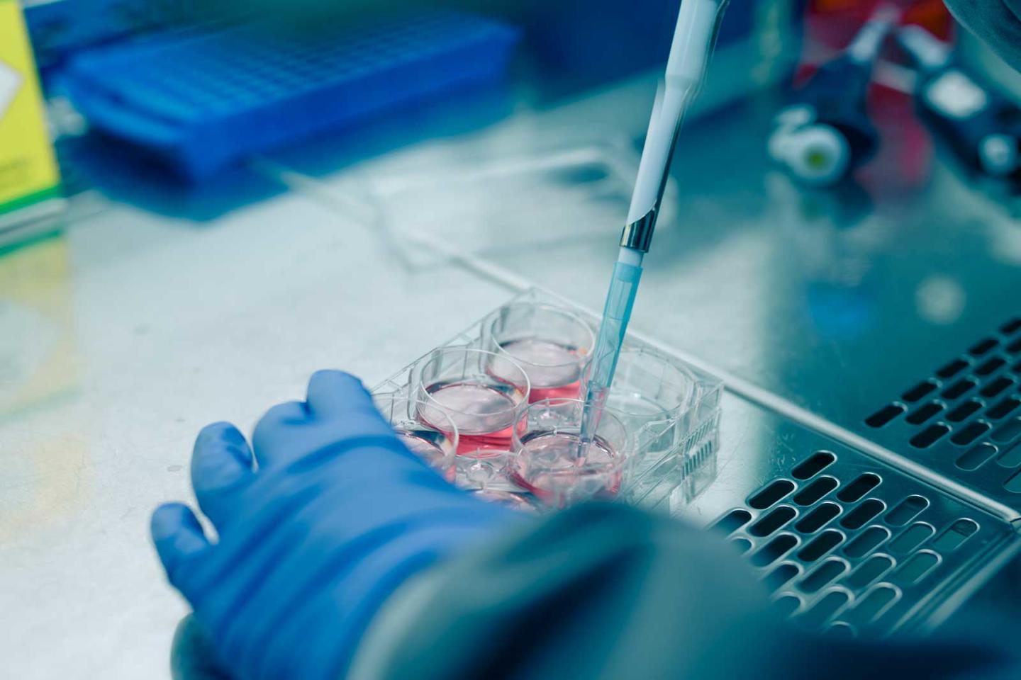 Biomedical research in a flume cupboard