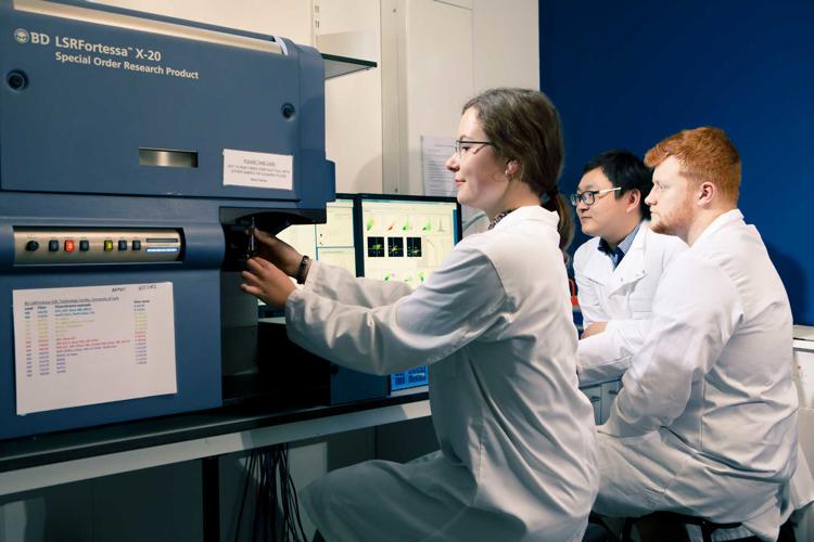 Experimental Medicine Laboratory at the University of York