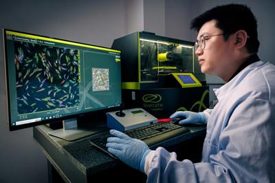 A researcher in the skin laboratory using the Live Cyte