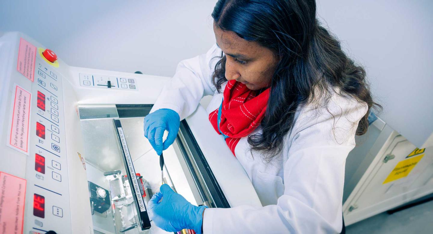 Lab researcher working in a lab in Experimental Medicine and Biomedicine