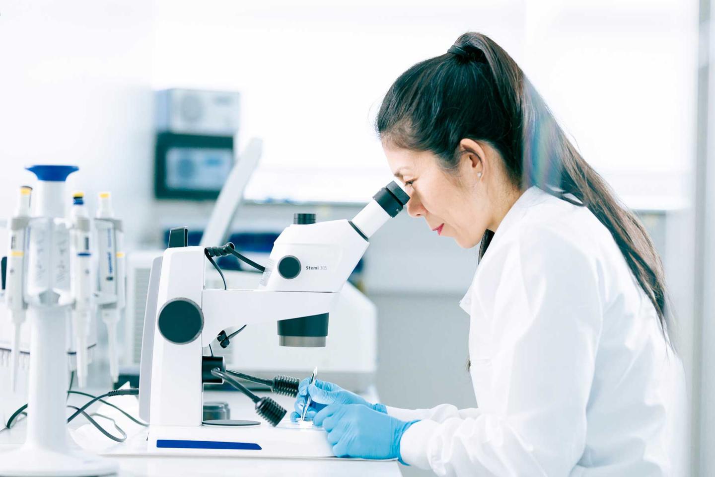 Examining a skin microsampling device under a microscope