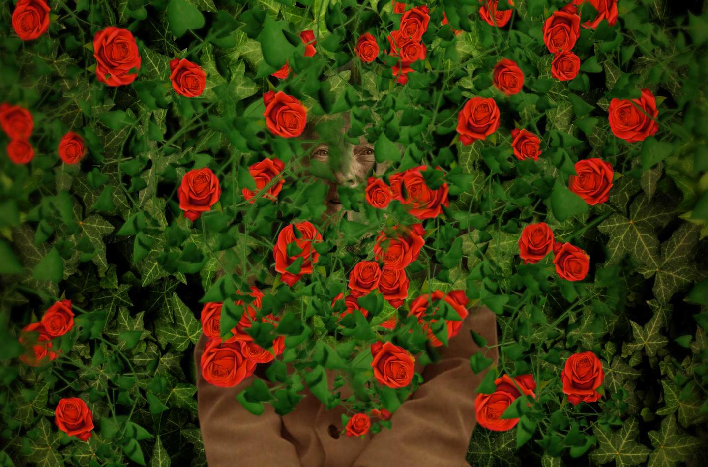 Artwork from the Bringing Breathlessness into View Exhibition: Hidden in the Roses