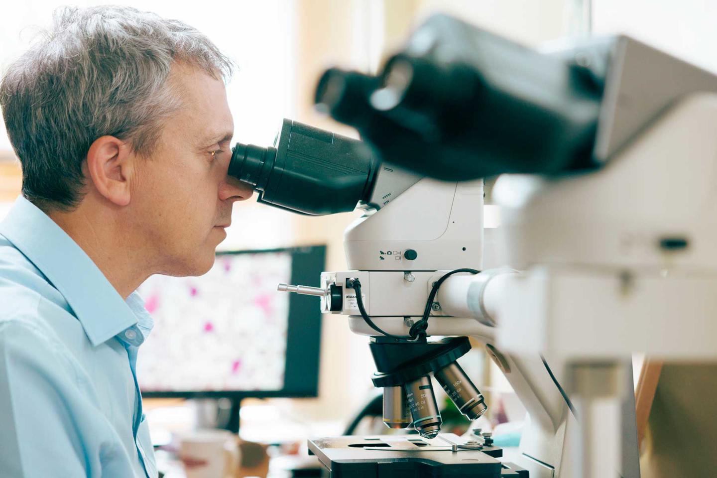 Dr David Allsup examining leukemia samples