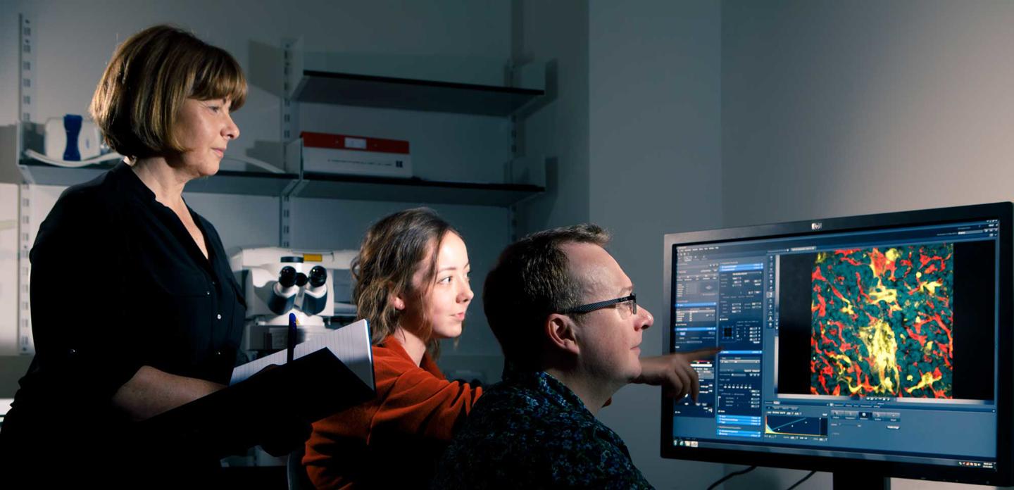 Researchers looking at flouresence microscopy on a PC screen