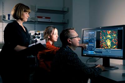 Researchers looking at flouresence microscopy on a PC screen