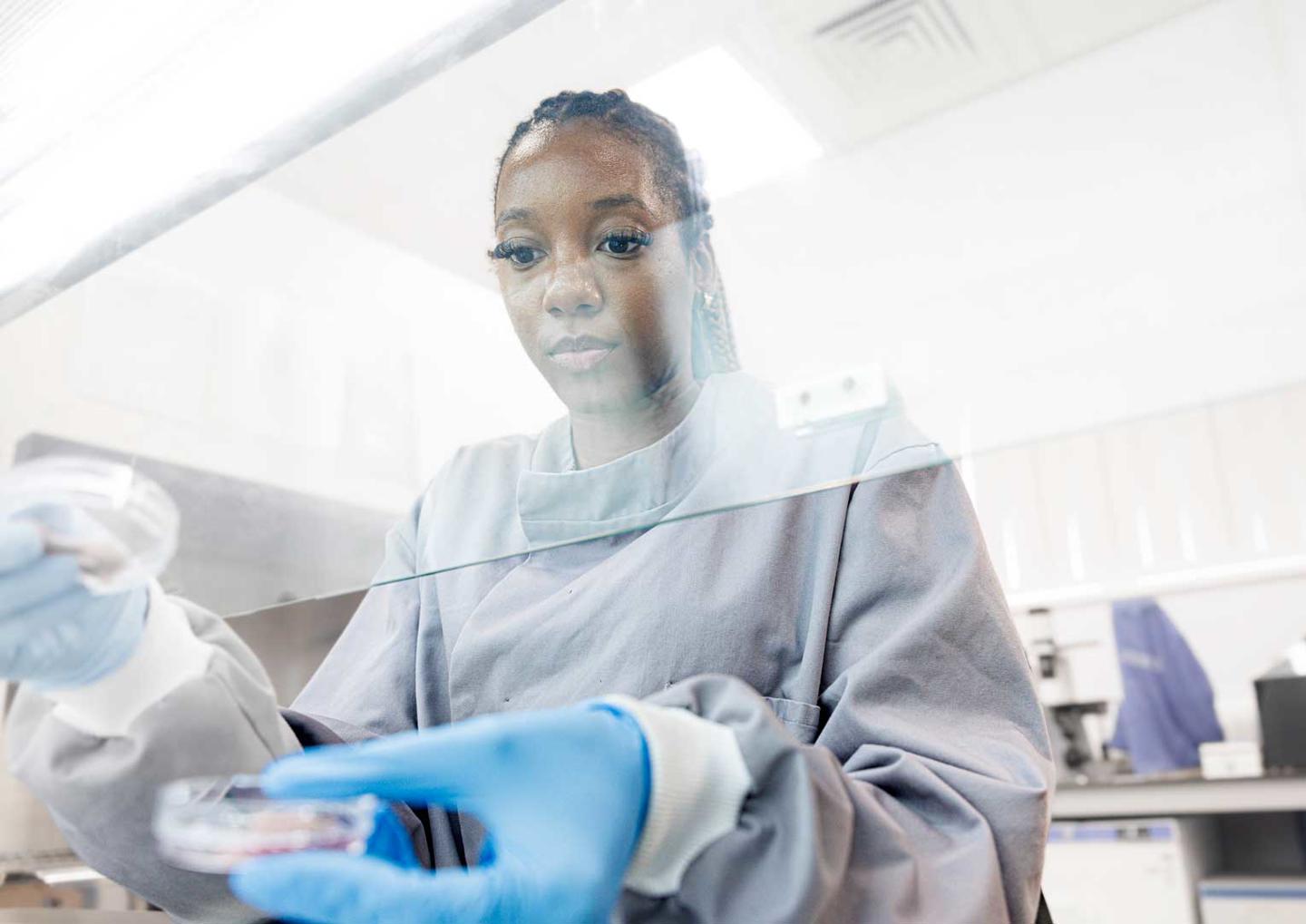 Examining skin samples in the laboratory in the Daisy Building, Castle Hill Hospital