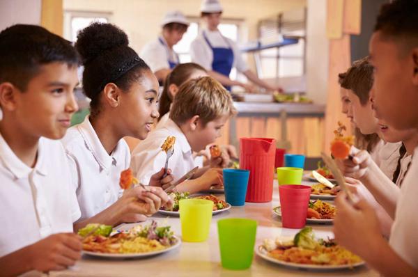 A child enjoying a school meal